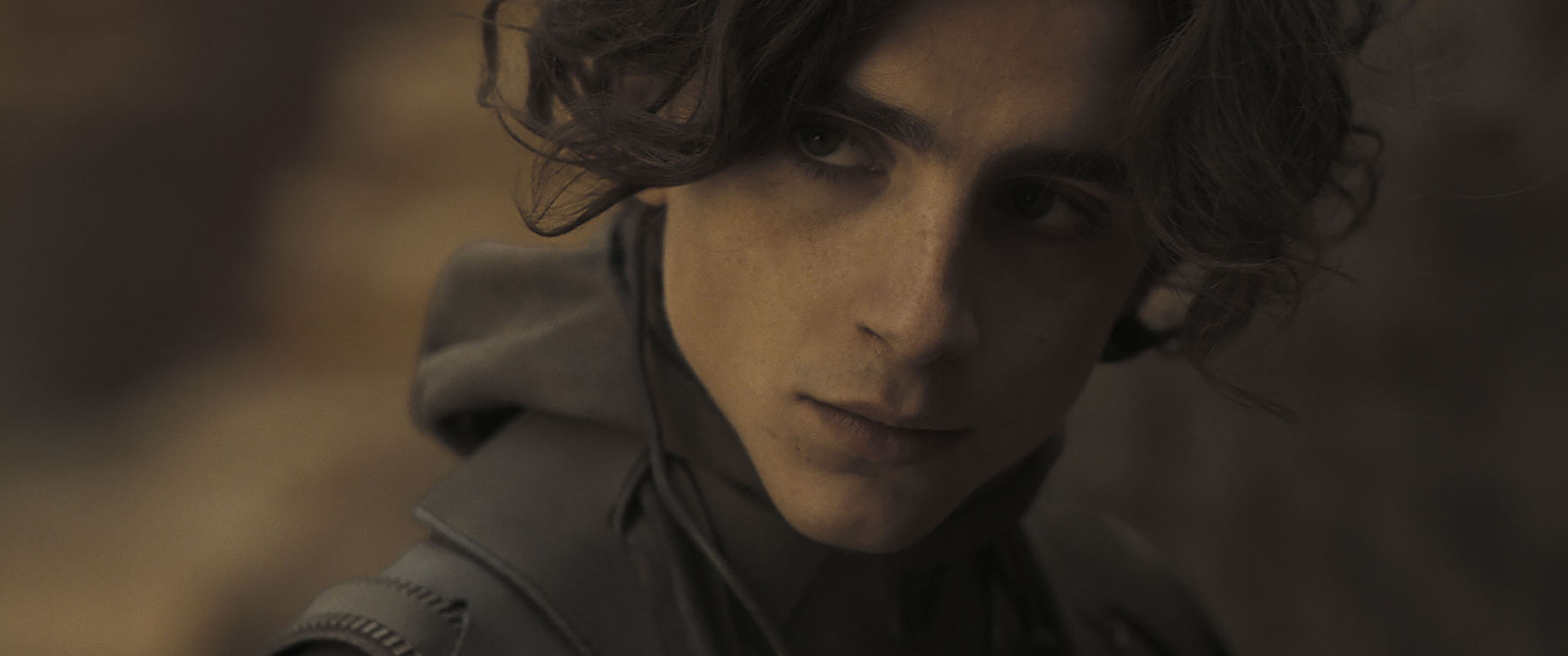 Timothée Chalamet in Dune