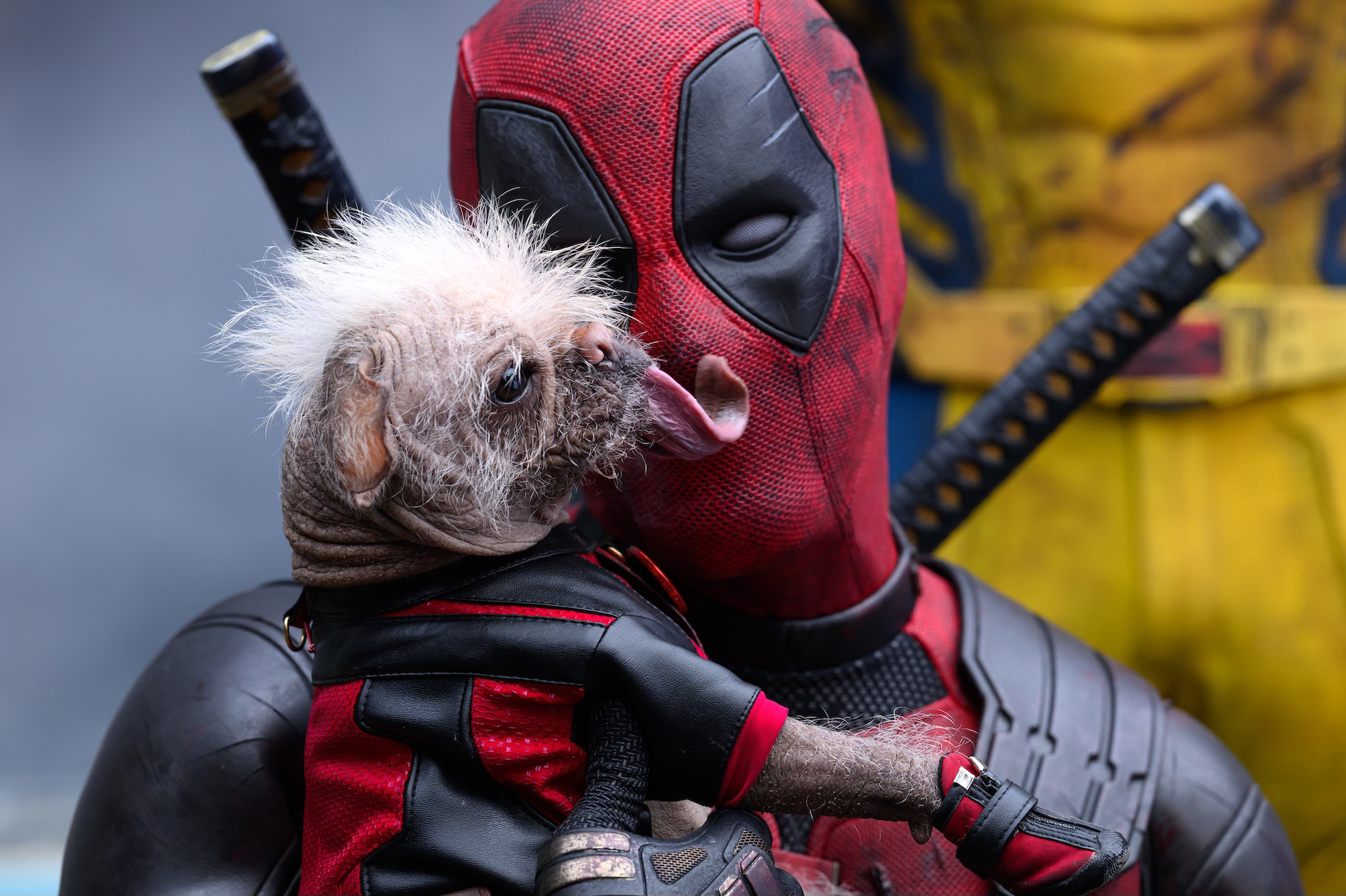 Dogpool (Peggy) and Deadpool (Ryan Reynolds) in Deadpool & Wolverine