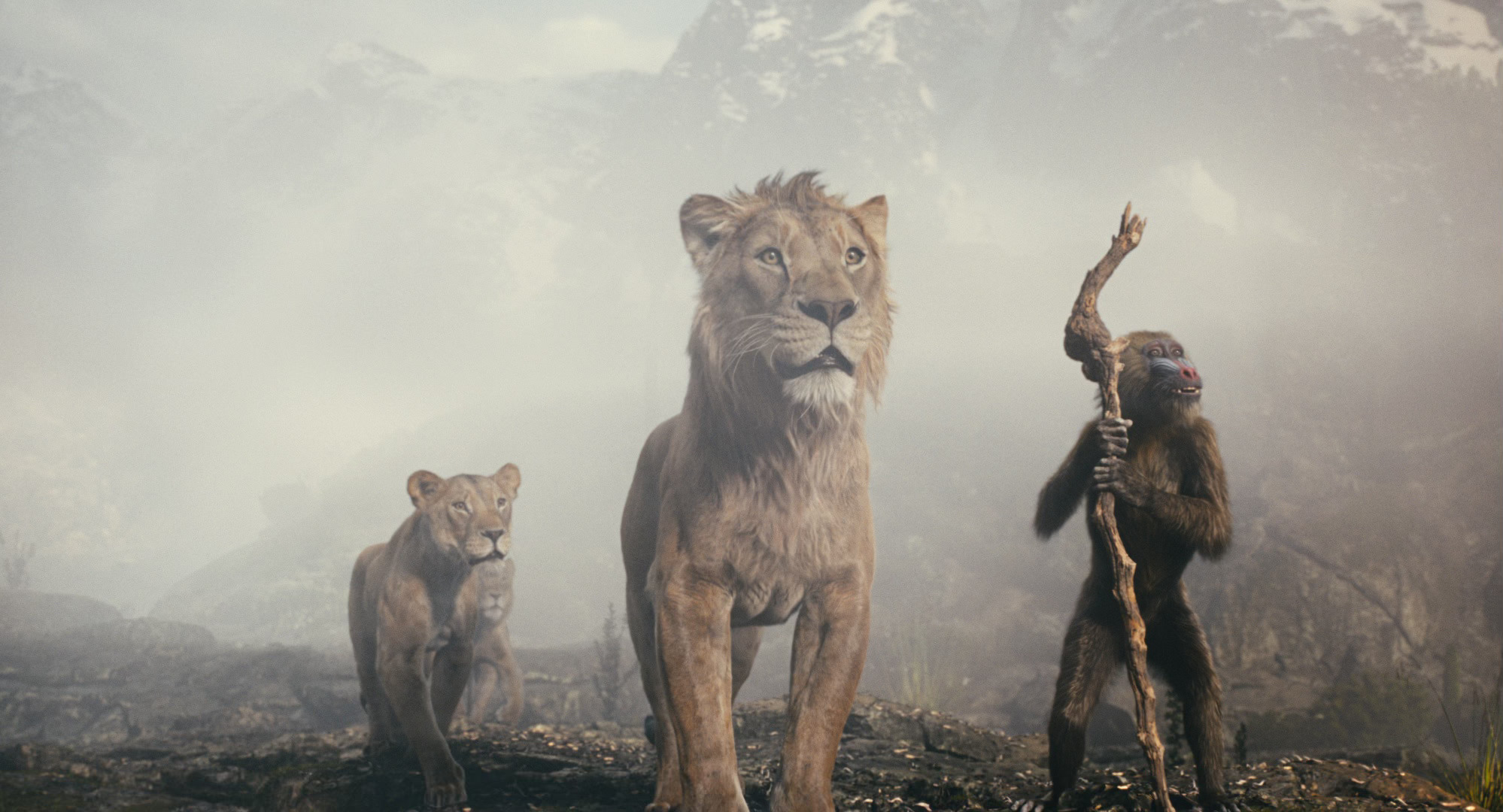 Sarabi (Tiffany Boone), Taka (Kelvin Harrison Jr.), Mufasa (Aaron Pierre), and Rafiki (Kagiso Lediga) in Mufasa: The Lion King